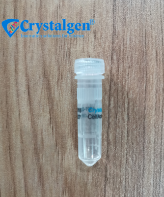 細(xì)胞粘附液-1.5ml